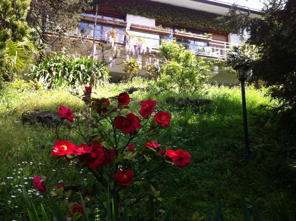B&B Le Ortensie -Lago Di Como เลียร์นา ภายนอก รูปภาพ